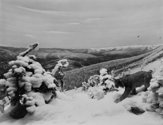 Illustration for article titled Photographer Celebrates 40 Years of Making Dioramas Seem Real
